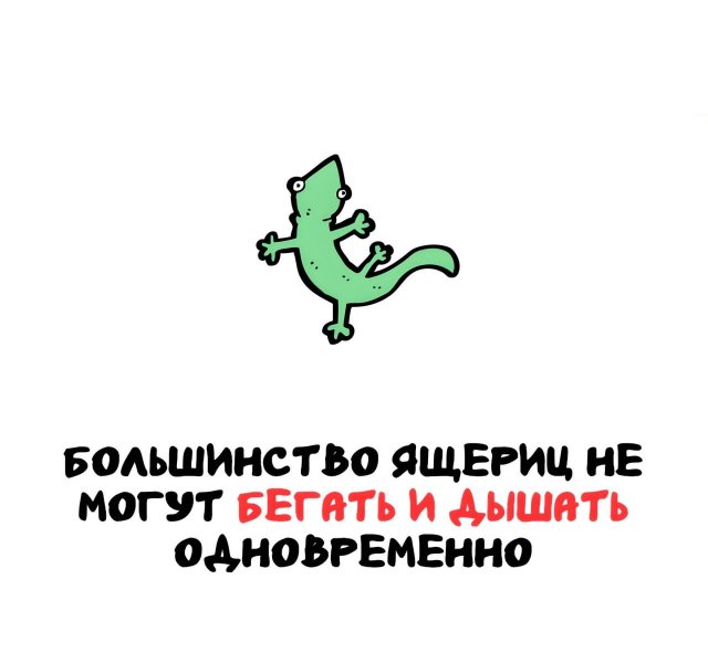 Интересные факты на все случаи жизни