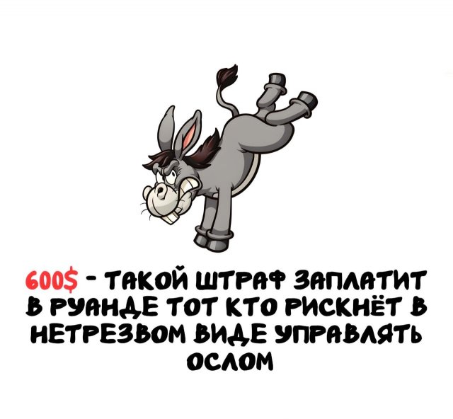 Интересные факты на все случаи жизни