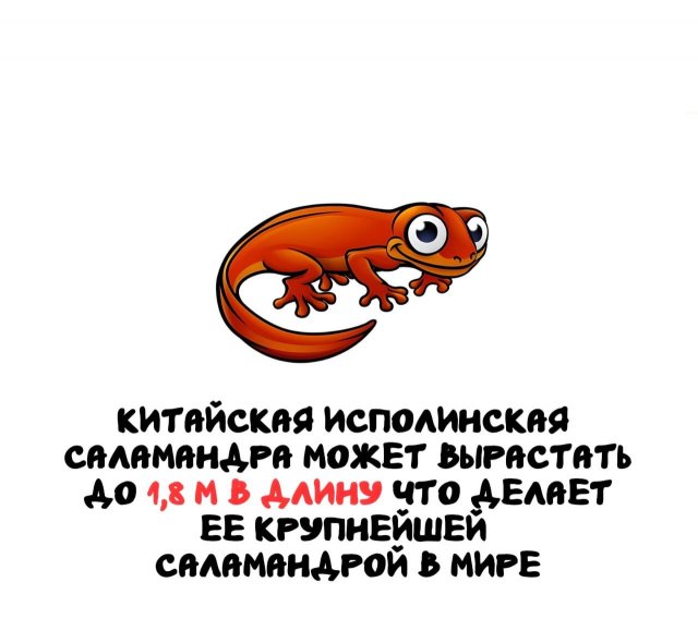 Интересные факты на все случаи жизни