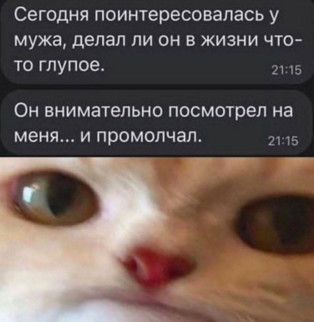 Лучшие шутки и мемы из Сети - 27.05.2025