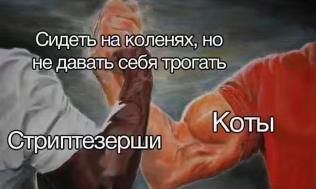 Смешные мемы - 28.05.2025