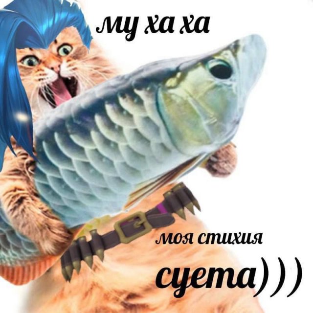 Смешные мемы - 28.05.2025
