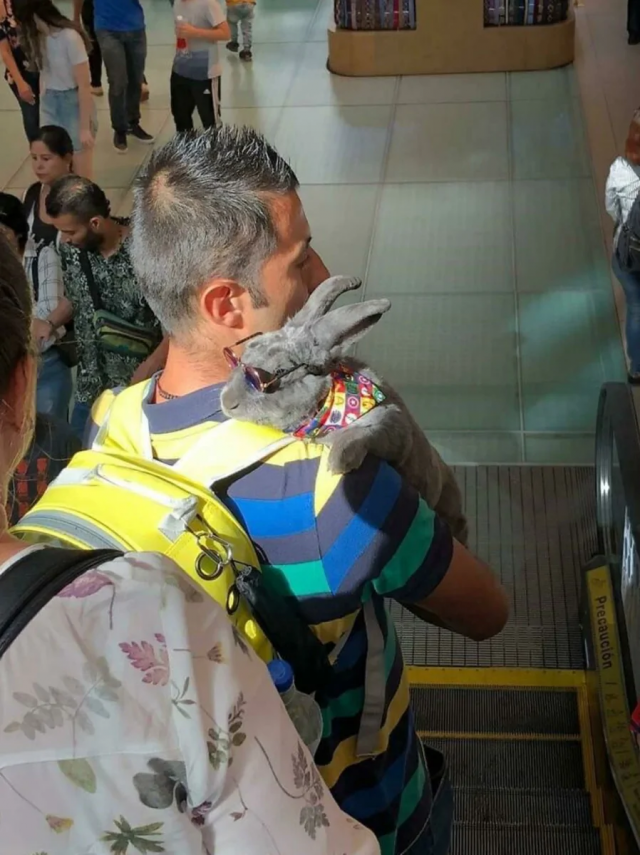 Чего только не увидишь в метро Чего только не увидишь в метро