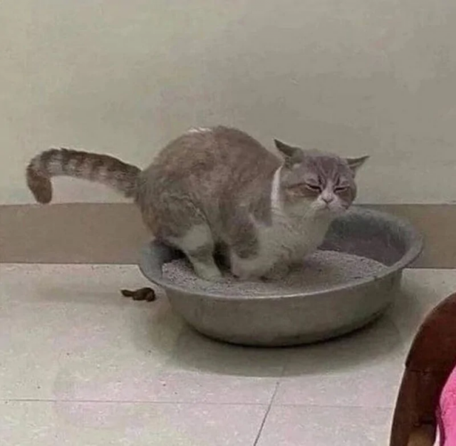 Мне так удобно Мне так удобно