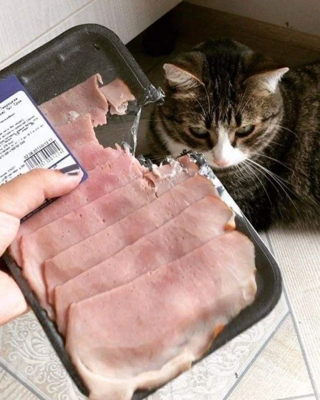 Я пришёл, а оно уже так было Я пришёл, а оно уже так было