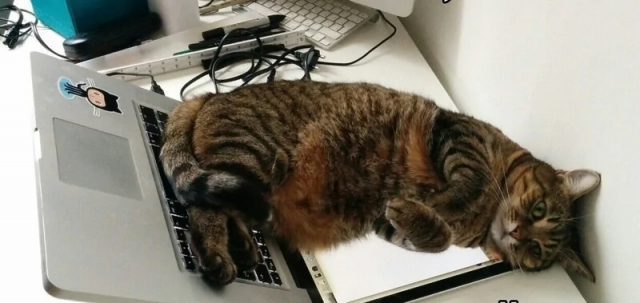 Тебе это не нужно Тебе это не нужно