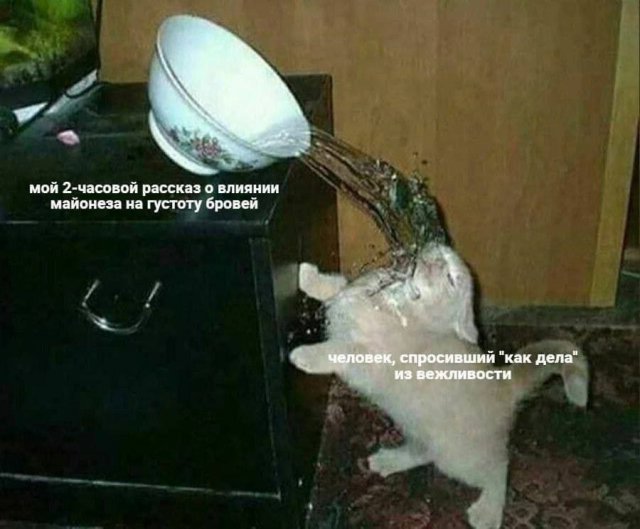 Лучшие шутки и мемы из Сети - 28.05.2025