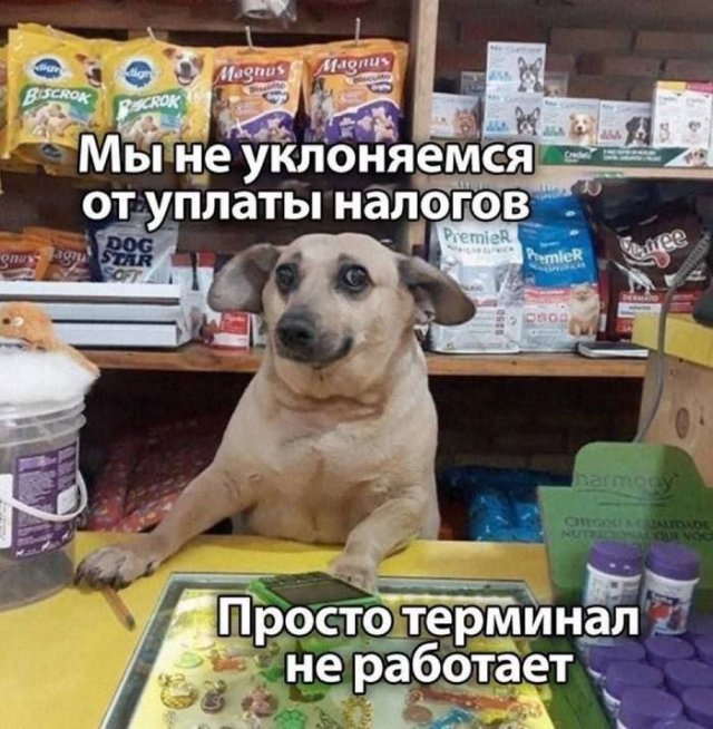 Лучшие шутки и мемы из Сети - 28.05.2025