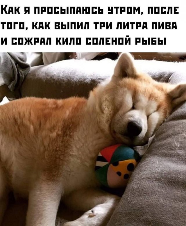 Лучшие шутки и мемы из Сети - 28.05.2025
