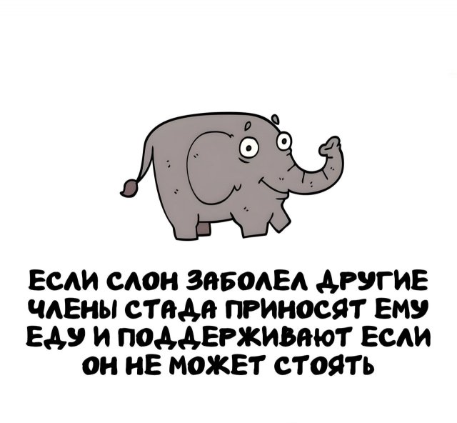 Интересные факты на все случаи жизни