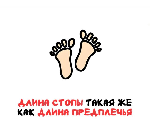 Интересные факты на все случаи жизни