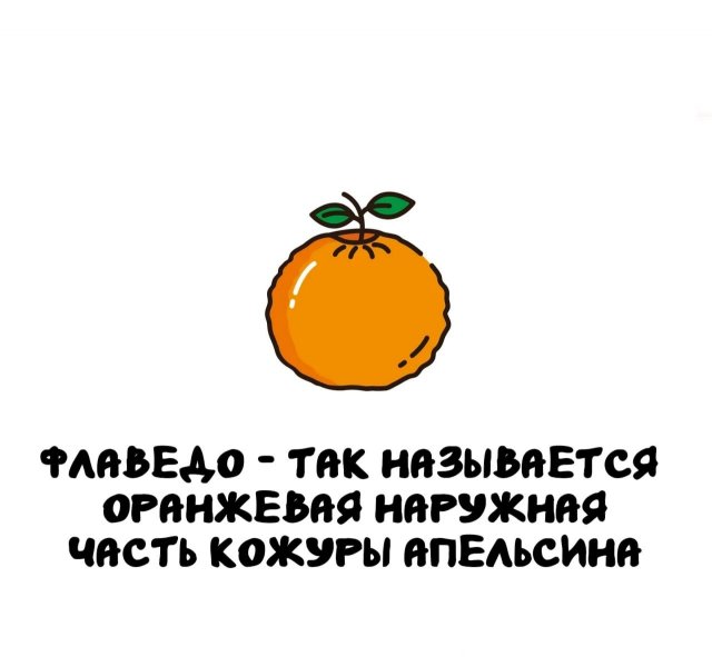 Интересные факты на все случаи жизни
