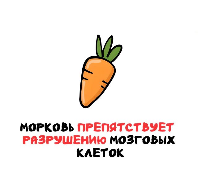 Интересные факты на все случаи жизни