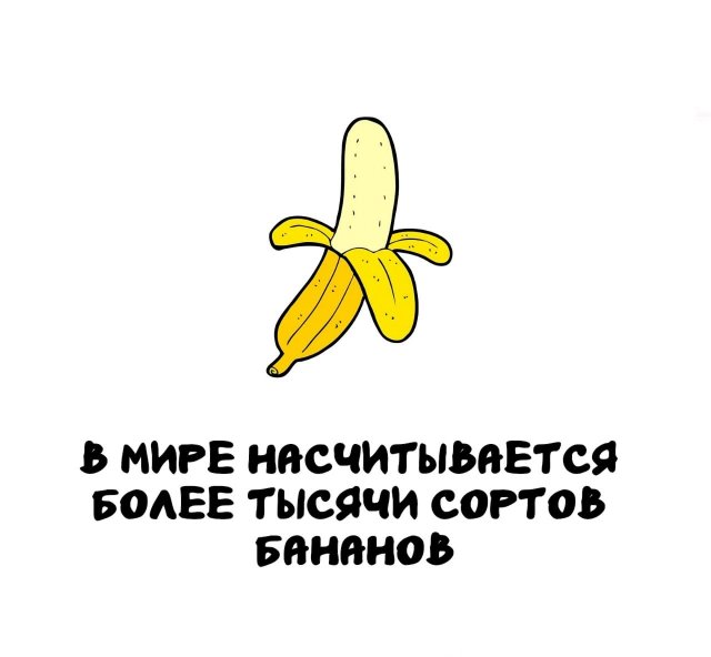 Интересные факты на все случаи жизни