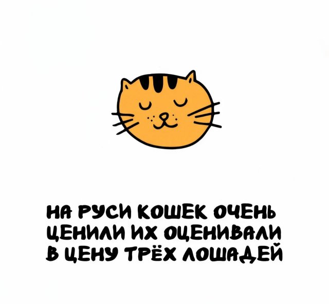Интересные факты на все случаи жизни