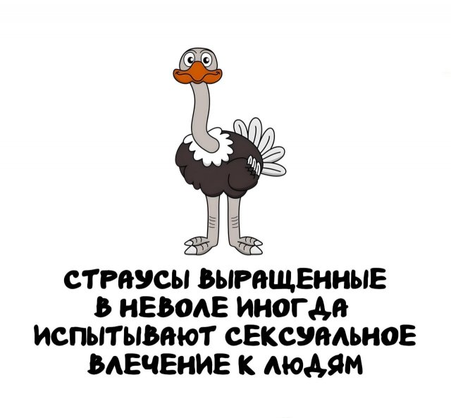 Интересные факты на все случаи жизни