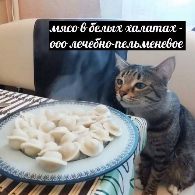 Смешные мемы - 29.05.2025