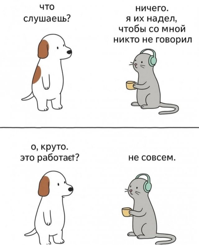 Смешные мемы - 29.05.2025