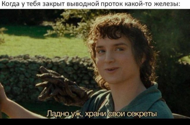 Смешные картинки - 29.05.2025