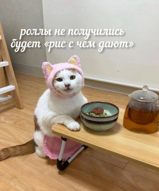Смешные картинки - 29.05.2025
