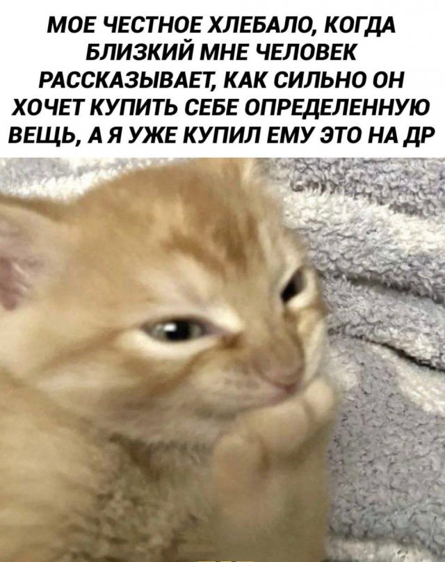 Смешные картинки - 29.05.2025
