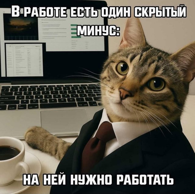 Лучшие шутки и мемы - 29.05.2025