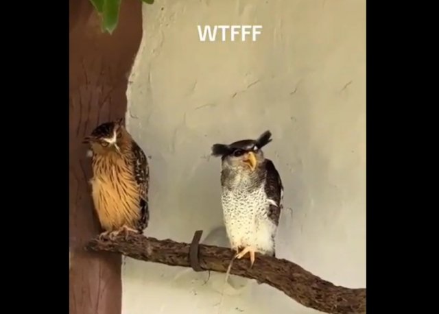 Она одна из нас