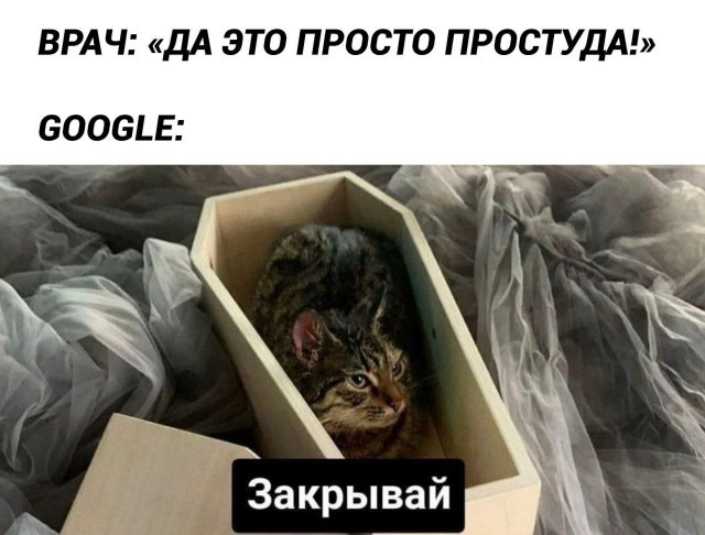 Лучшие шутки и мемы из Сети - 30.05.2025