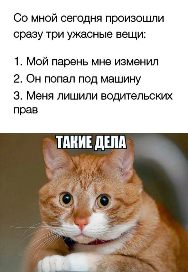 Лучшие шутки и мемы из Сети - 30.05.2025