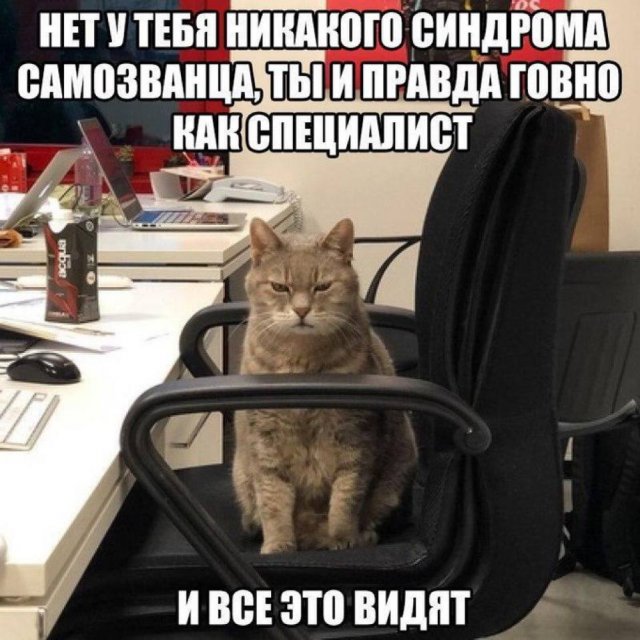 Лучшие шутки и мемы из Сети - 30.05.2025