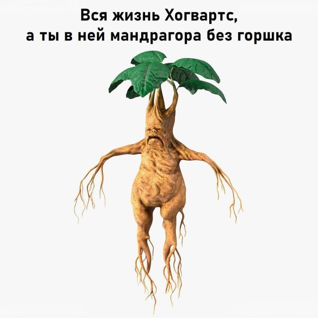 Смешные мемы - 02.06.2025