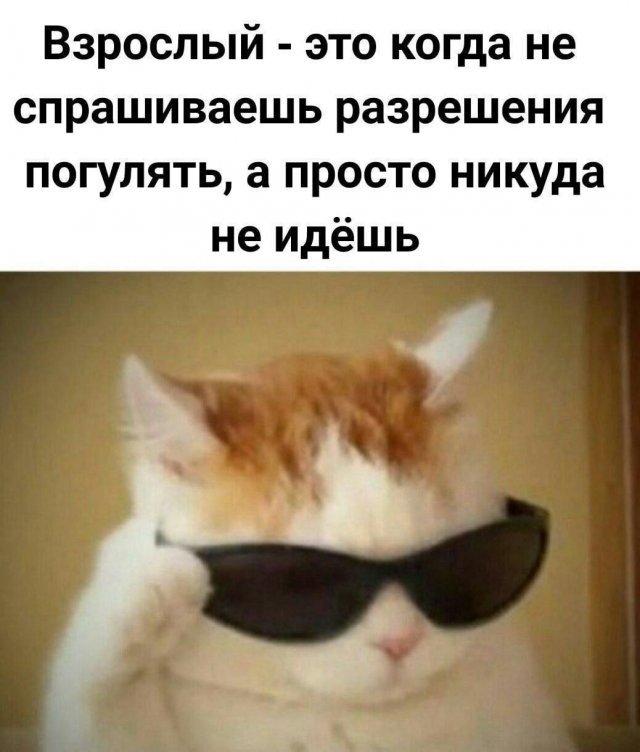 Смешные мемы - 02.06.2025