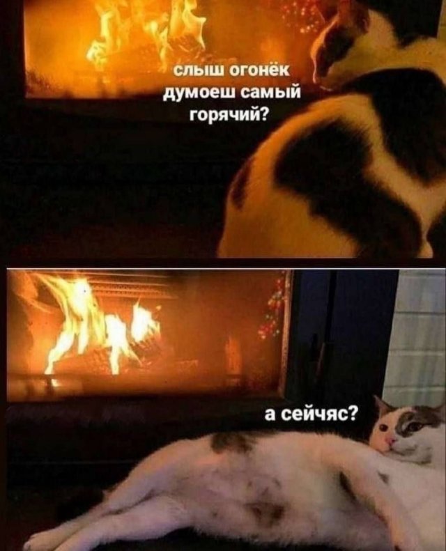 Смешные мемы - 02.06.2025