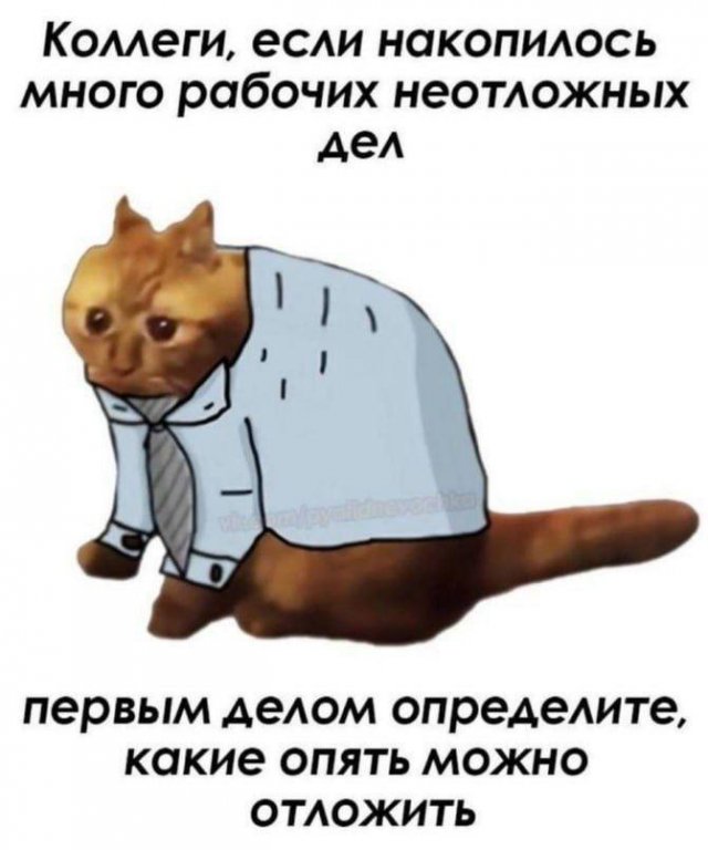 Смешные мемы - 02.06.2025