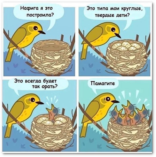 Смешные мемы - 02.06.2025