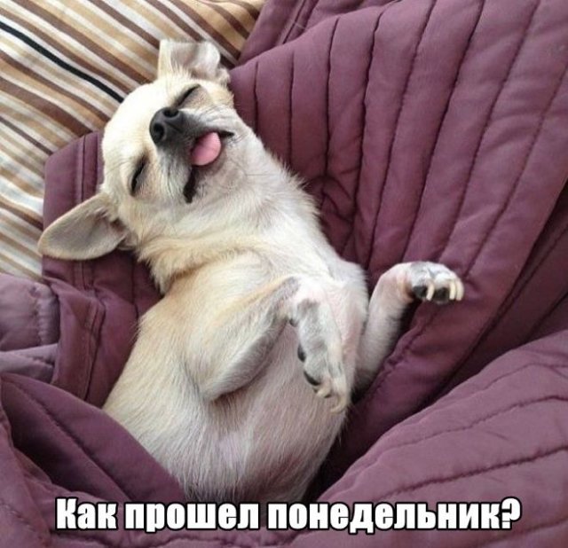 Трынделка - 02.06.2025