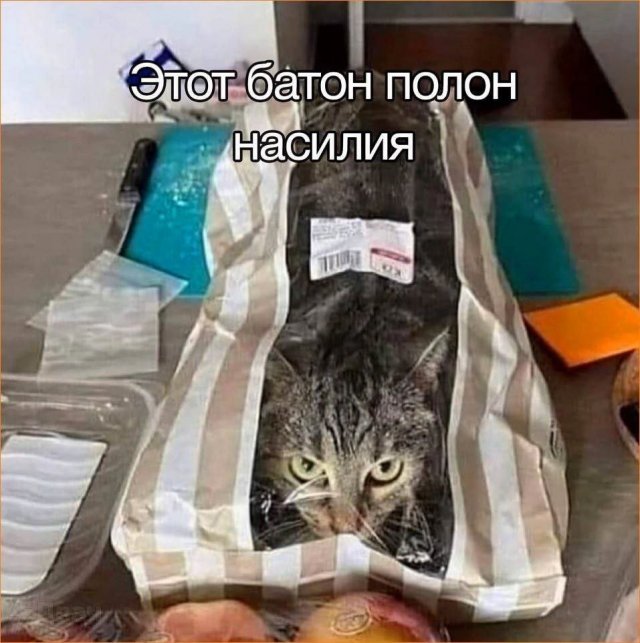 Смешные картинки - 02.06.2025