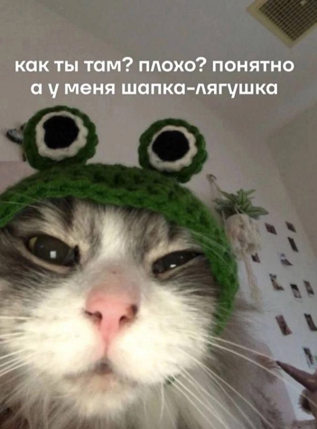 Смешные картинки - 02.06.2025