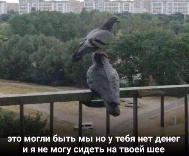 Смешные картинки - 02.06.2025