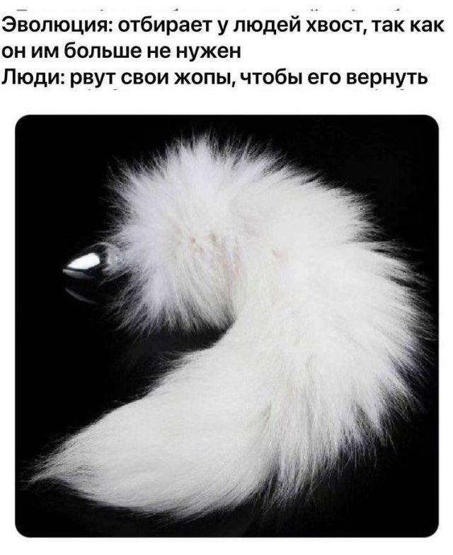 Лучшие шутки и мемы из Сети - 02.06.2025
