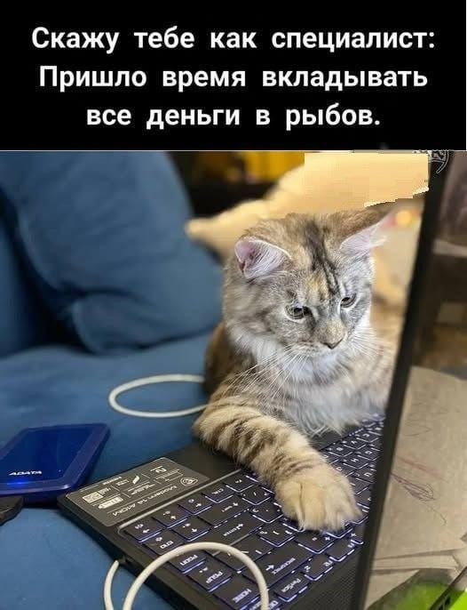 Лучшие шутки и мемы из Сети - 02.06.2025