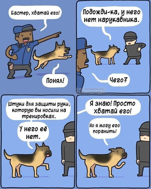 Лучшие шутки и мемы из Сети - 02.06.2025