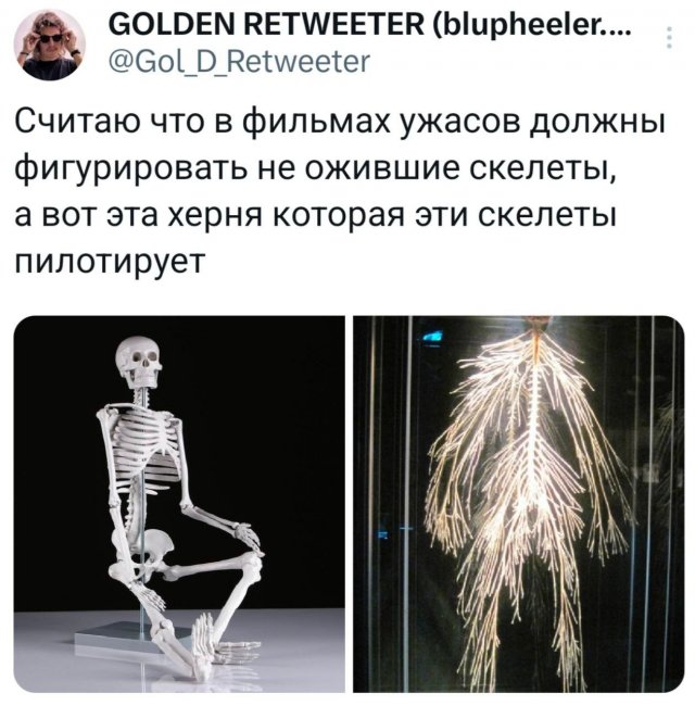 Подборка забавных твитов обо всем