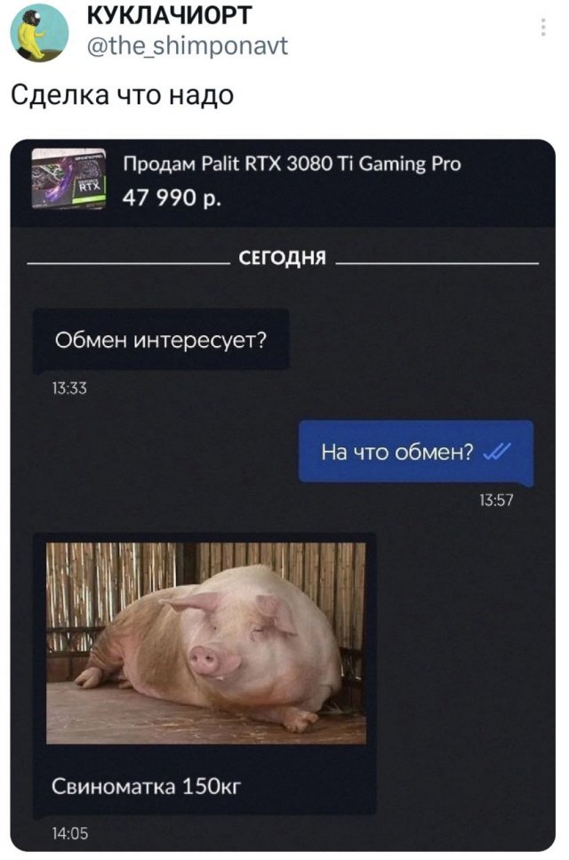 Подборка забавных твитов обо всем