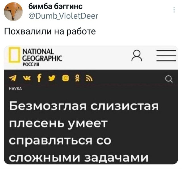 Подборка забавных твитов обо всем