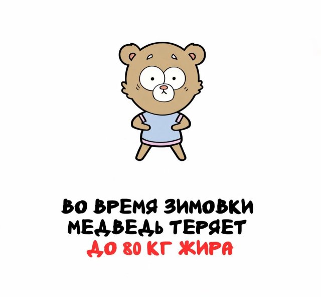Интересные факты на все случаи жизни