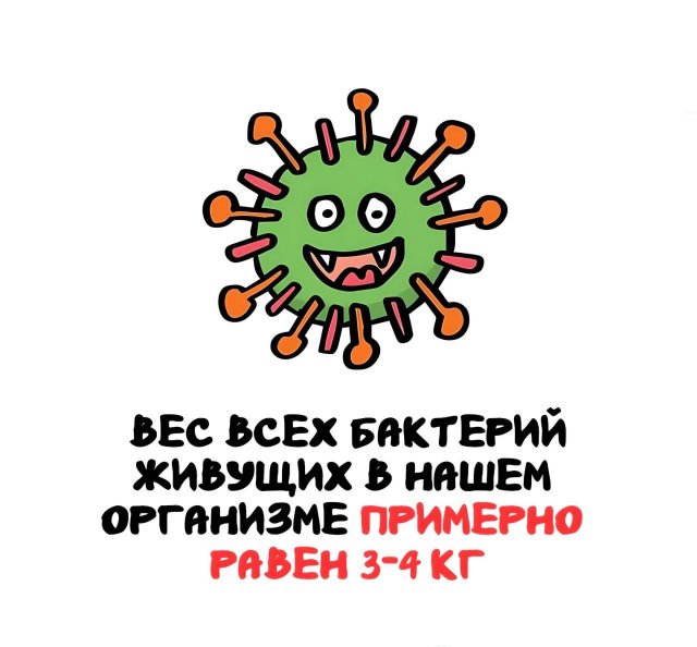 Интересные факты на все случаи жизни