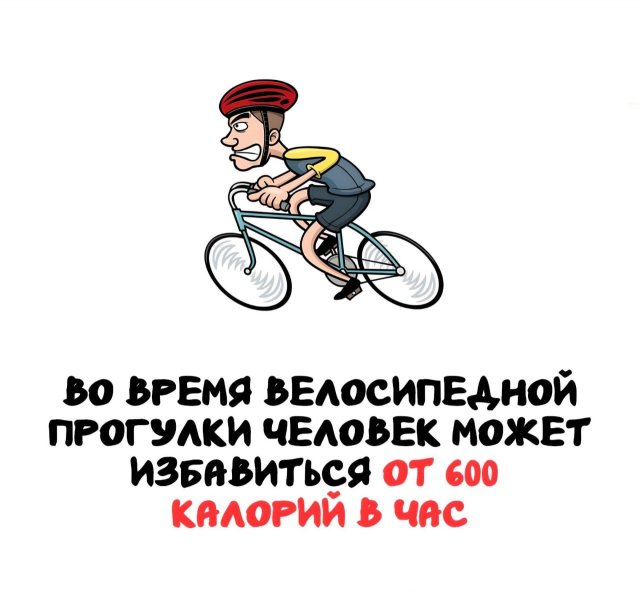Интересные факты на все случаи жизни