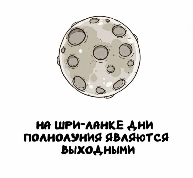 Интересные факты на все случаи жизни