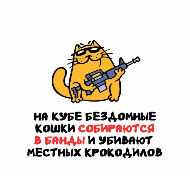 Интересные факты на все случаи жизни